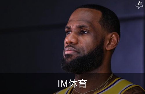 IM体育概况